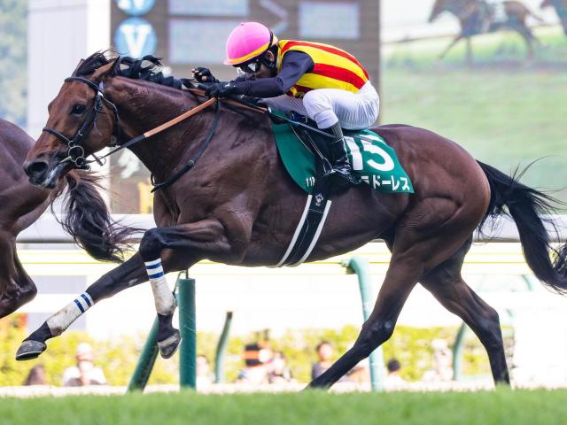 前走GIIIがオールカマーのトレンド!? 今年の該当馬のなかで注目馬は？