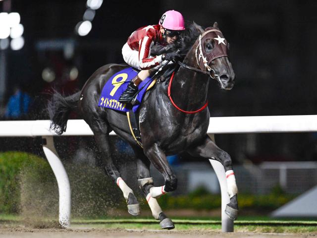 【川崎・戸塚記念結果】ナイトオブファイアが4馬身差圧勝で重賞初制覇