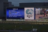 2R以降が競走とりやめとなった川崎競馬場