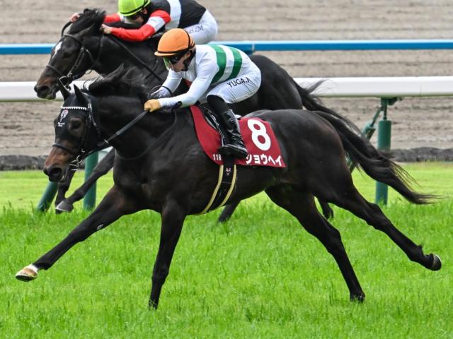 【神戸新聞杯】現役最多タイの3勝目へ 友道康夫調教師がショウヘイ＆ライトトラックの2頭出しだ