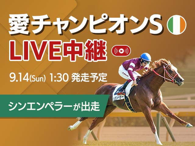 ̵LIVEۥåԥ󥹥ơۿ