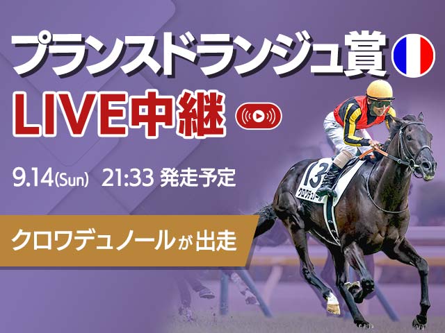 ̵LIVEۥץ󥹥ɥ󥸥ޤۿ