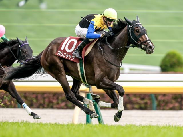 【ローズS予想】阪神芝1800mが舞台 先行争いは激化しにくいコース