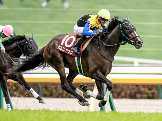 【ローズS予想】1着馬の前走パターンは2つ？ 過去データから探るGIIローズS