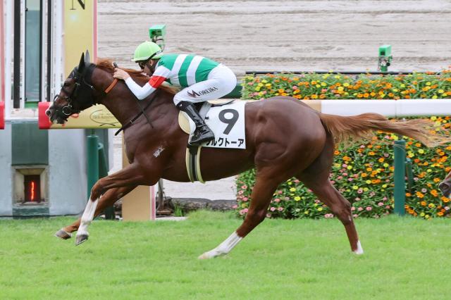 【阪神9R・3歳上1勝クラス】モレイラ騎手が今来日で初勝利　ブルクトーアで快勝「いい脚を伸ばしてこられた」