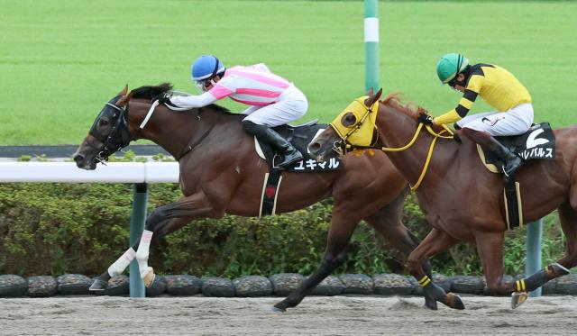 【中山11R・初風S】ユキマルが4戦ぶりのダートで変わり身示す　丹内祐次騎手「この条件も合っていました」