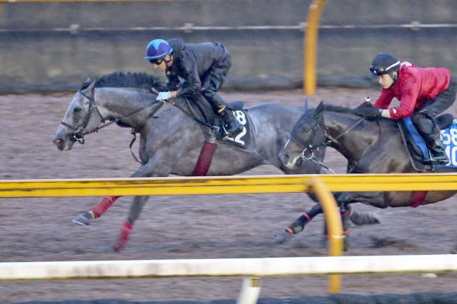 【セントライト記念】力をつけたヤマニンブークリエが好気配　松永幹調教師「権利を取って菊花賞へ」