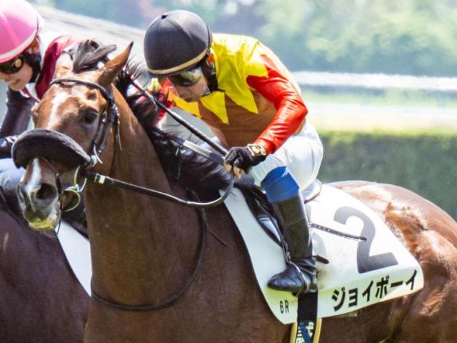 叔父2頭が2着＆3着の神戸新聞杯 伏兵ジョイボーイが菊切符獲得なるか