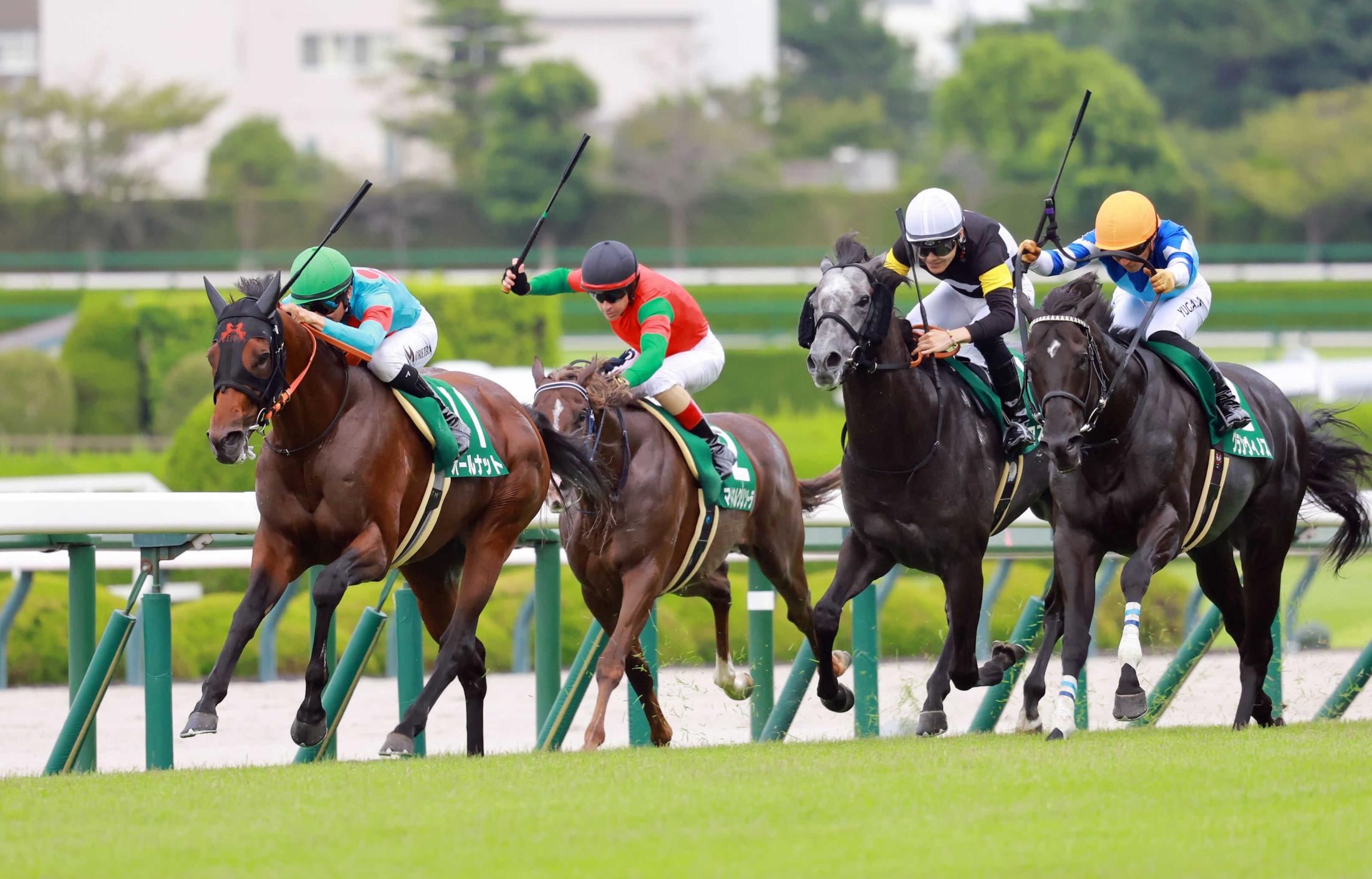 【チャレンジＣ】オールナット巧走！重賞初Ｖ  今週から騎乗のモレイラマジックさく裂　妹チェルビアットに「いい流れを」