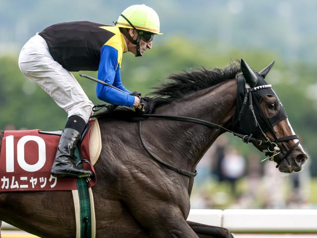 【ローズS予想】1着馬の前走パターンは2つ？ 過去データから探るGIIローズS