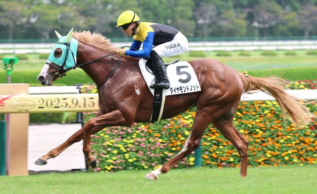 【阪神2R・2歳未勝利】ダイヤモンドノットが3馬身差の快勝　福永調教師「完璧だった。上のクラスでも楽しみ」
