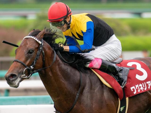 夏の休養から“馬肥ゆる秋” 馬体重2桁増で神戸新聞杯を勝利した馬たち