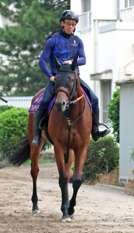 【注目馬動向】新潟記念6着のブレイディヴェーグは天皇賞・秋を目標に