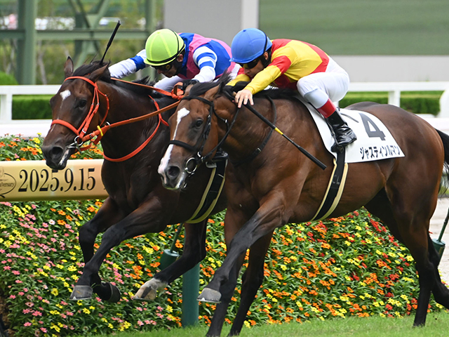 【阪神5R新馬戦結果】ハービンジャー産駒ブルースカイブルーが接戦を制す