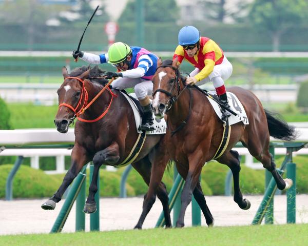 【阪神5R・2歳新馬】3番人気のブルースカイブルーが差し返して勝利　和田竜二騎手「ひとつ勝つことで作り方も変わる」