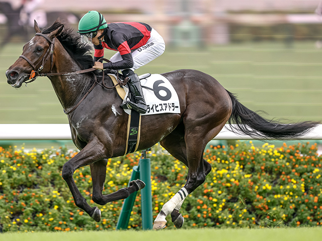 【中山5R新馬戦結果】シスキン産駒ライヒスアドラーが人気に応えて快勝