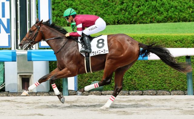 3週連続で高額馬が圧勝デビューの中内田厩舎　再び現れたダートの怪物級に「恐ろしいわ」「どうすんねん」