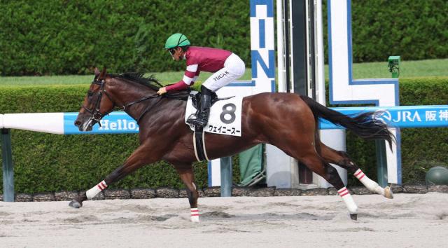【阪神6R・新馬戦】ウェイニースーがV　川田「返し馬から素晴らしかった」