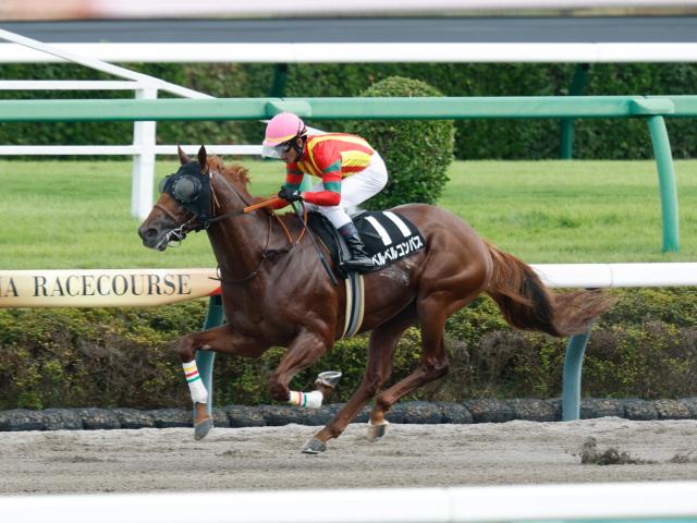 【松戸特別レース後コメント】ベルベルコンパス戸崎圭太騎手ら