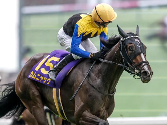 【ローズS・馬体重】カムニャックは482kg(+8)、チェルビアットは486kg(+8)