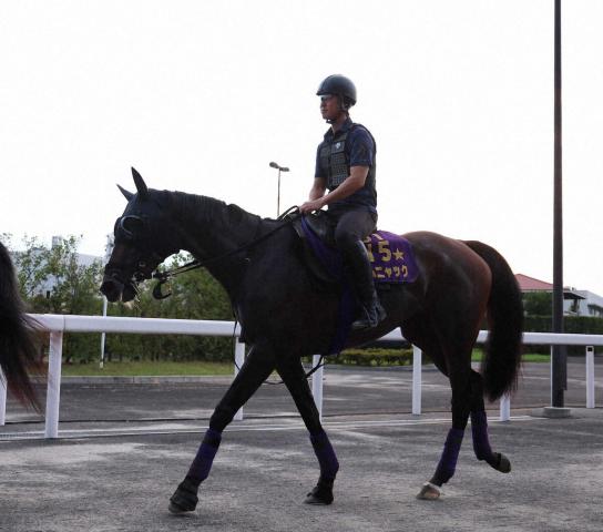 【ローズS】オークス馬カムニャック完勝　川田はこのレース連覇で6勝目