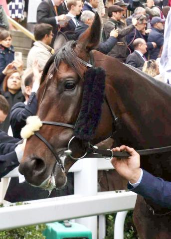 【愛セントレジャー】アルリファーが1年1か月ぶりにG1勝利　長距離レース2戦連続の圧勝でメルボルンCへ弾み