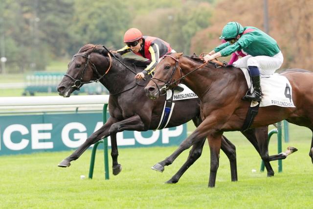 クロワデュノールが凱旋門賞へV発進　斉藤崇調教師「ダービーぐらいの感じで使えれば十分にチャンスはある」