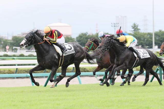 【中山4R】中山最後の3歳未勝利戦は良血馬オルグジェシダが待望のV　岩田望来騎手「最後の未勝利を…」
