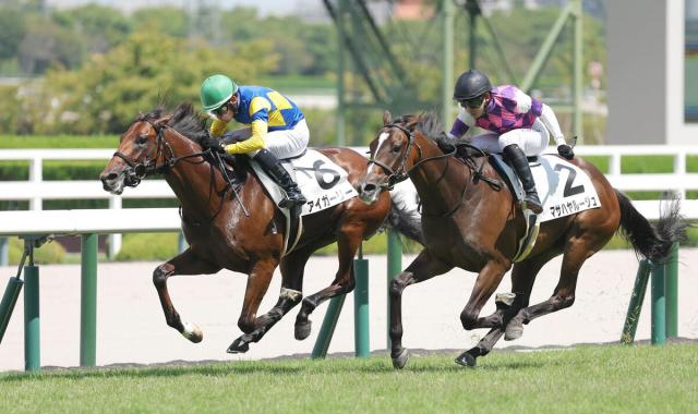【阪神5R・2歳新馬】7番人気アイガーリーが逃げ切って波乱を演出　菱田裕二騎手「性格が素直で、まっすぐに走ってくれる」