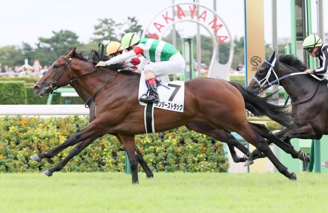 【中山5R・2歳新馬】2番人気のサンダーストラックが鼻差の大接戦を制す　ルメール騎手「いい馬だと思います」
