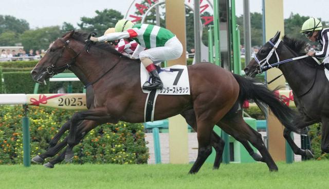 【中山5R・新馬戦】良血サンダーストラック差し切りV　ルメール絶賛「いい馬だと思う」