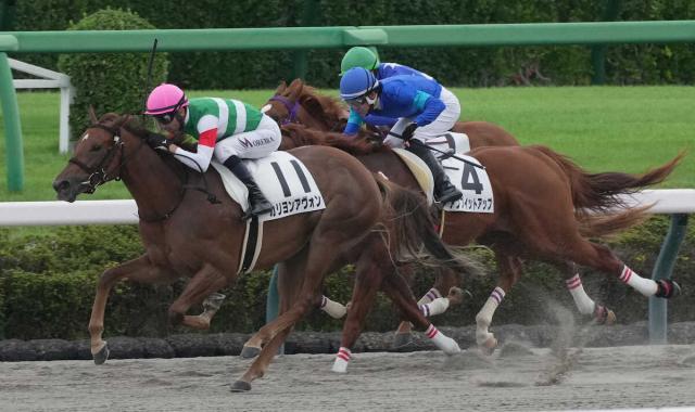 【中山6R・新馬戦】モレイラ騎乗の2番人気カリヨンアヴォンが勝利