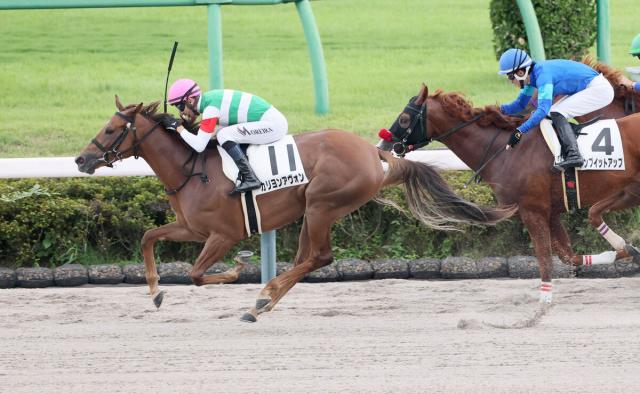 【中山6R・2歳新馬】カリヨンアヴォンが初陣制す　モレイラ騎手「ファイティングスピリッツがある」