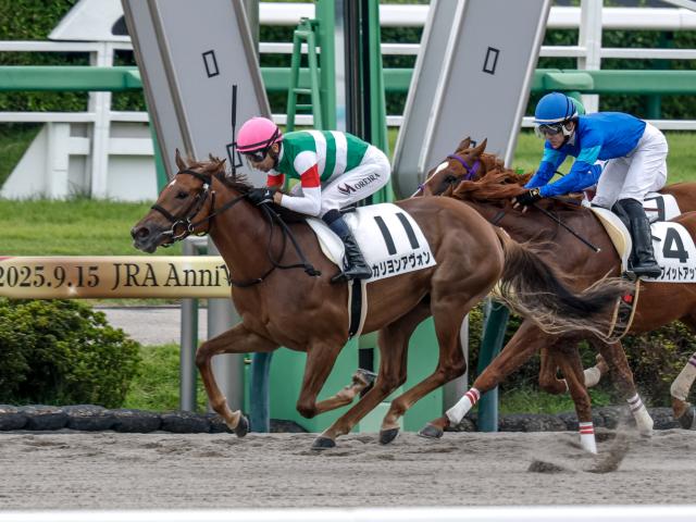 【中山6R新馬戦結果】ルヴァンスレーヴ産駒カリヨンアヴォンが初陣飾る