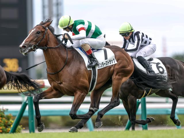 【中山5R新馬戦結果】ロードカナロア産駒サンダーストラックがゴール寸前で差し切りV