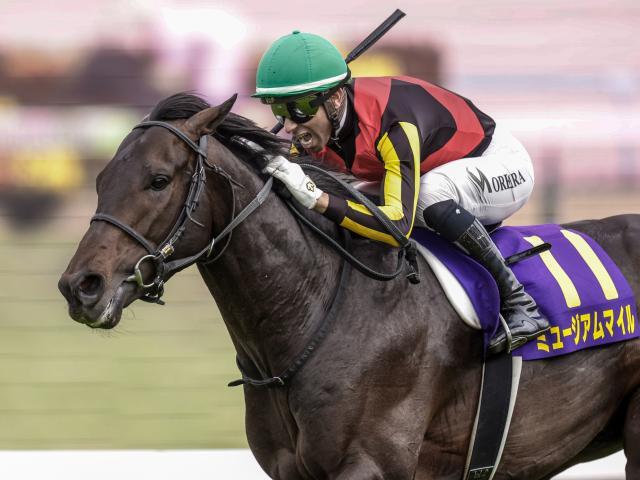 【セントライト記念・馬体重】ミュージアムマイルは500kg(+4)、レッドバンデは486kg(+2)