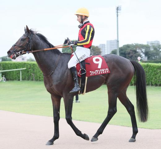 【セントライト記念】ファイアンクランツは外枠発走から最下位12着　モレイラ騎手「ゲートで激しく頭をぶつけてしまった」