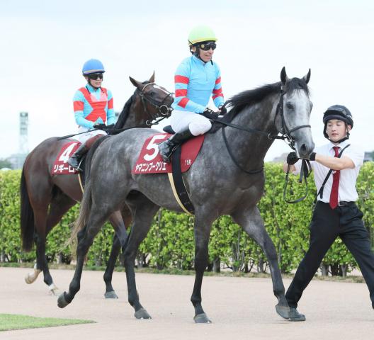 【セントライト記念】8番人気ヤマニンブークリエがイン突き2着　松永幹調教師「見事に乗ってくれましたね」
