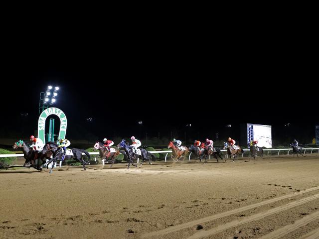 【佐賀・九州ジュニアチャンピオン結果】サキドリトッケンが競り合いを制して重賞初V