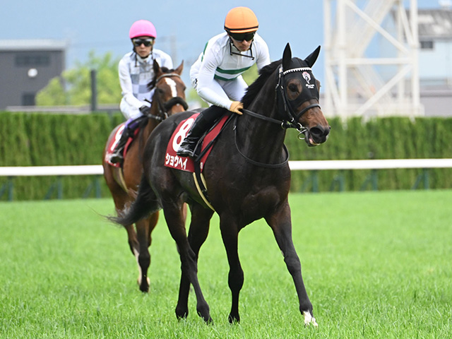 神戸新聞杯、オールカマーなど3重賞/今週の競馬界の見どころ
