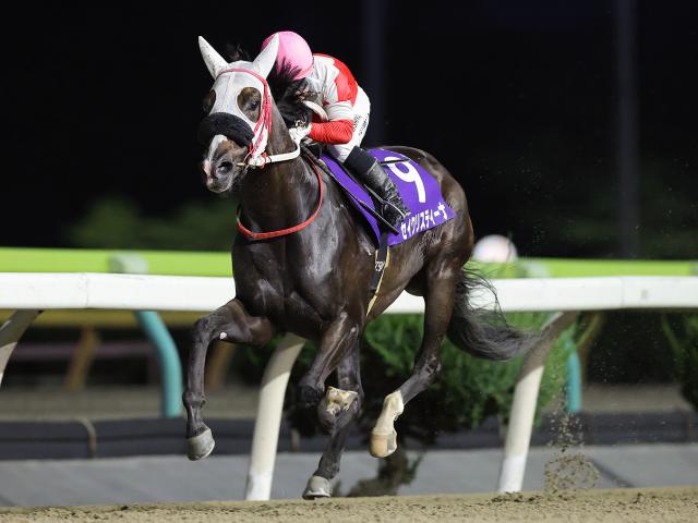 【水沢・若駒賞結果】セイクリスティーナが断然人気に応え重賞3連勝