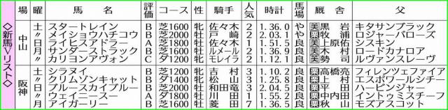 【新馬戦総括】ライヒスアドラー　切れ味子抜群　距離が延びても対応できそう