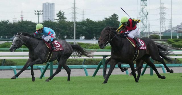 【セントライト記念】2着ヤマニンブークリエ　横山典の腕光る　松永師「うまく乗ってくれた」