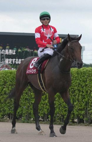 【セントライト記念】3着レッドバンデ　直線ジリジリ伸びたが…佐々木「勝ち馬とは決め手の差があった」