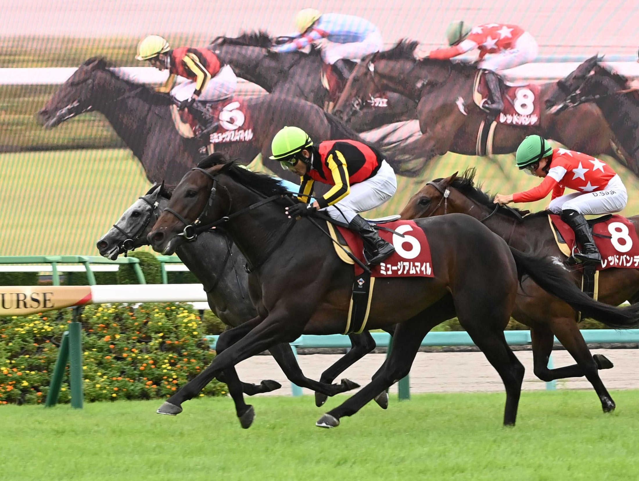 【セントライト記念】ミュージアムマイル完勝　皐月賞馬の貫禄！豪快差し切りで重賞２勝目　次戦の天皇賞・秋へ弾み