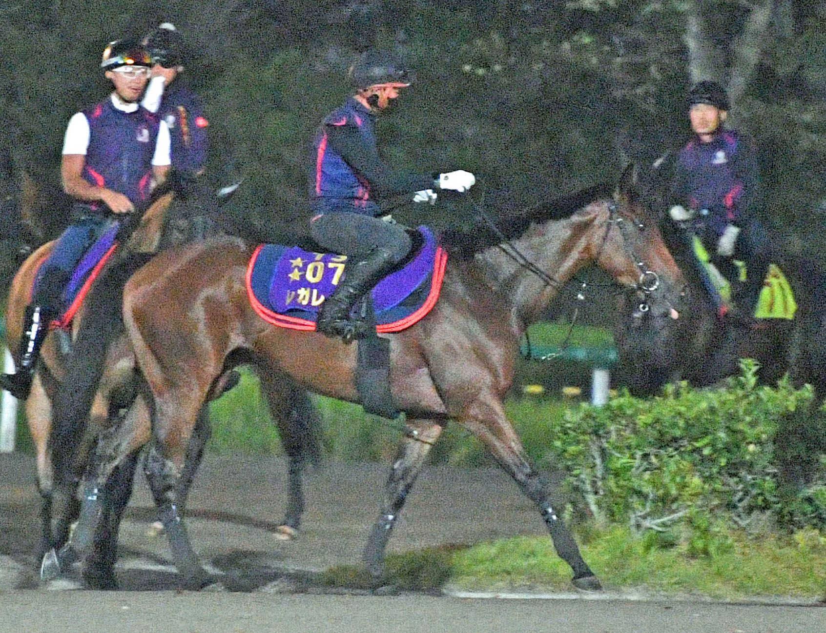 【オールカマー】レガレイラ再輝へ　有馬記念Ｖの中山で“天才少女”復活だ　陣営も上昇ぶり実感「体つき、バランスも良化」