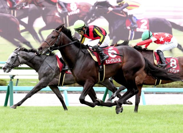 【セントライト記念】皐月賞馬ミュージアムマイルが秋初戦快勝!天皇賞・秋で古馬斬りへ高柳大調教師「まだ良くなると思います」