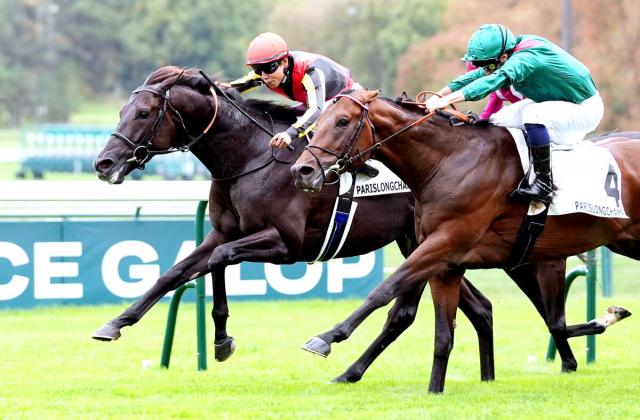 【仏プランスドランジュ賞】ダービー馬クロワデュノールが凱旋門賞へ休み明け、重い馬場、完調手前でV発進　斉藤崇調教師「チャンスある」