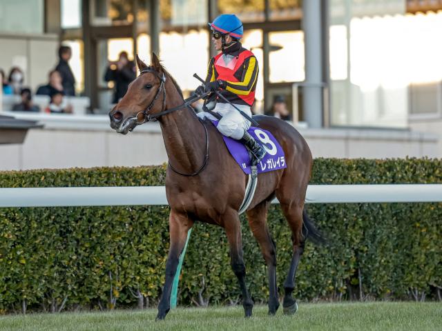 【オールカマー予想オッズ】レガレイラが予想1番人気