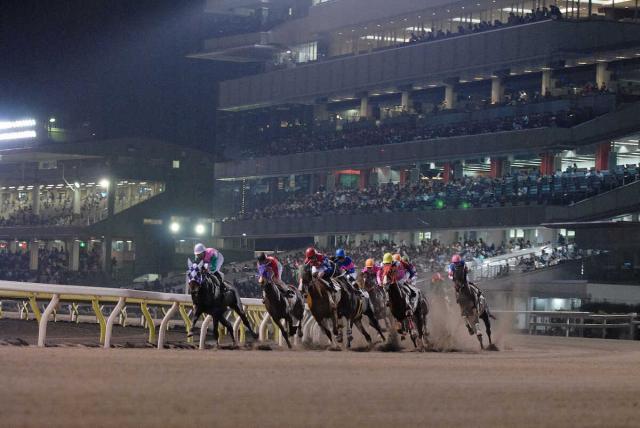 17日の大井競馬9Rで出走資格がない馬がいたことが判明　レース前日に競走除外